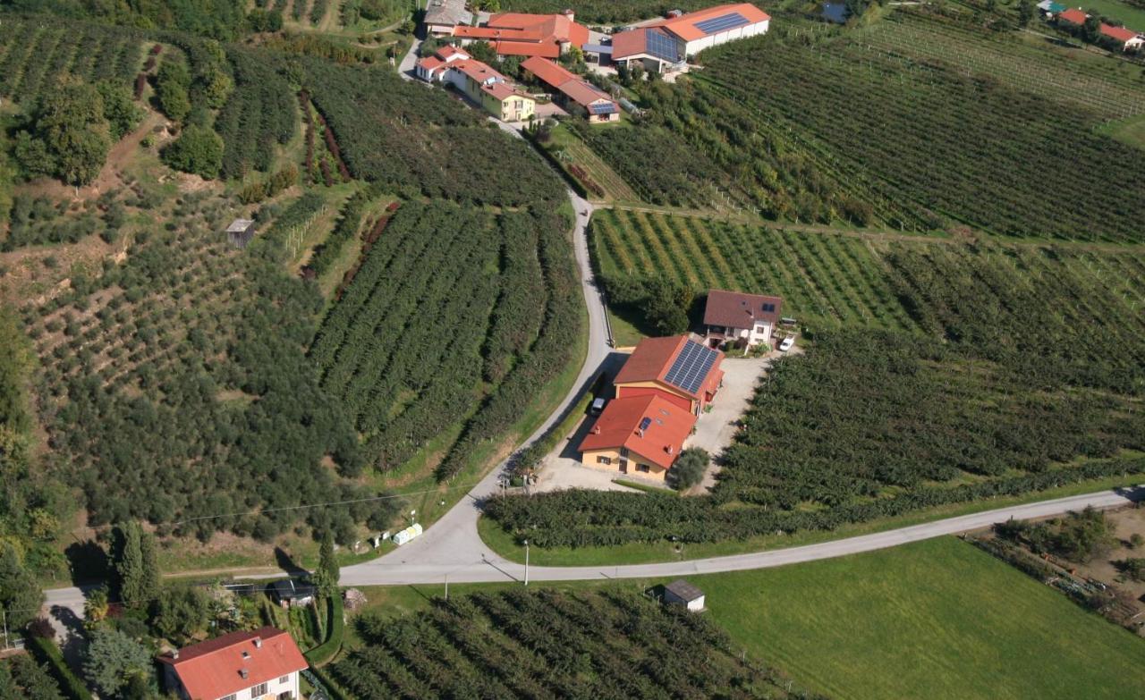 Bed and Breakfast Agrialpi By Salfrutta à Bricherasio Extérieur photo