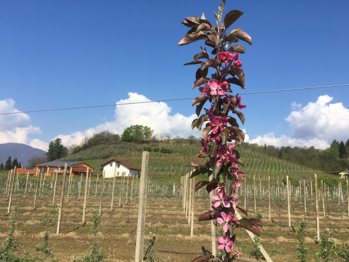 Bed and Breakfast Agrialpi By Salfrutta à Bricherasio Extérieur photo