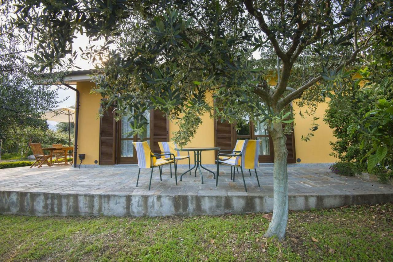 Bed and Breakfast Agrialpi By Salfrutta à Bricherasio Extérieur photo